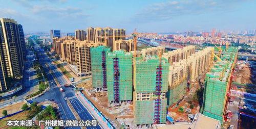 佛山爆料楼市最新消息,价格波动与政策调控并存
