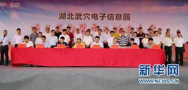 武穴市最新爆料,揭秘城市变迁与发展新动向