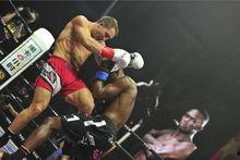 最新拳击爆料,最新爆料揭秘拳击界惊天秘密